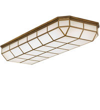 2nd Avenue Designs Blue 245707 - 66" Long Gibbon Oblong Flushmount