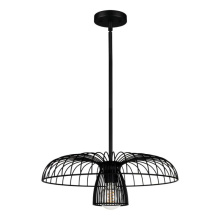 Eglo 206263A - 1 LT Dual Mount Ceiling or Pendant Light w/ Black Finish & Black Metal Cage Shade