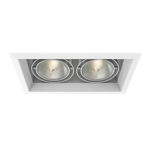 Eurofase TE132-22 - MULT,PAR30,TRM,2LT,75W,WH/WHT