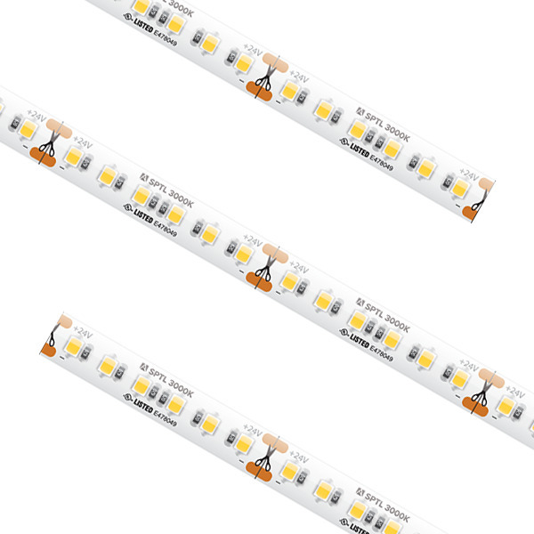 SPTL-WH-13