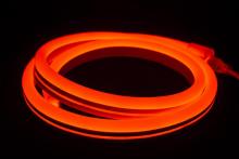 POLAR NEON FLEX