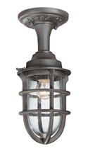 Troy C1863NR - WILMINGTON 1LT SEMI-FLUSH SMALL
