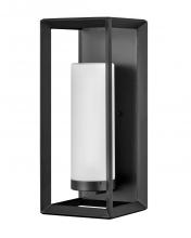 Hinkley 29309BGR-LL - Large Wall Mount Lantern